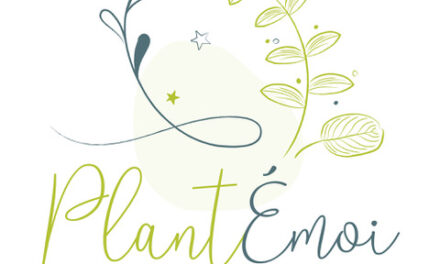 Plantémoi |L’amour des Plantes associé à la création déco
